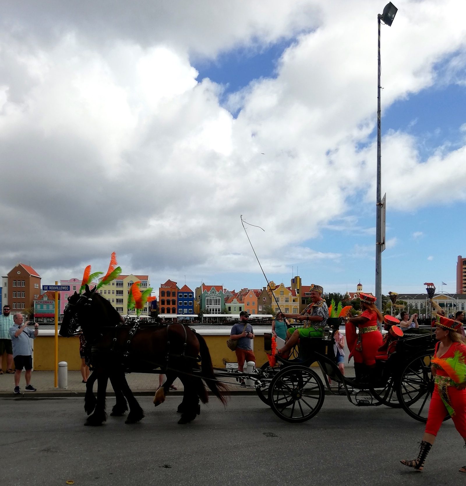 A horse-drawn carriage at the Horse Parade