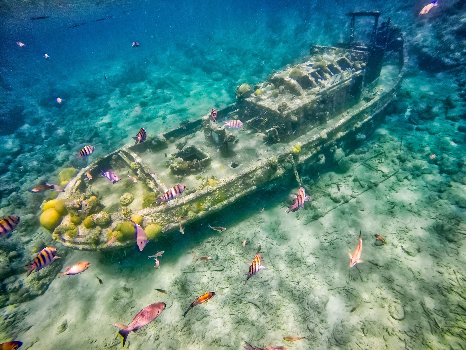 The Tugboat snorkel site seen from above