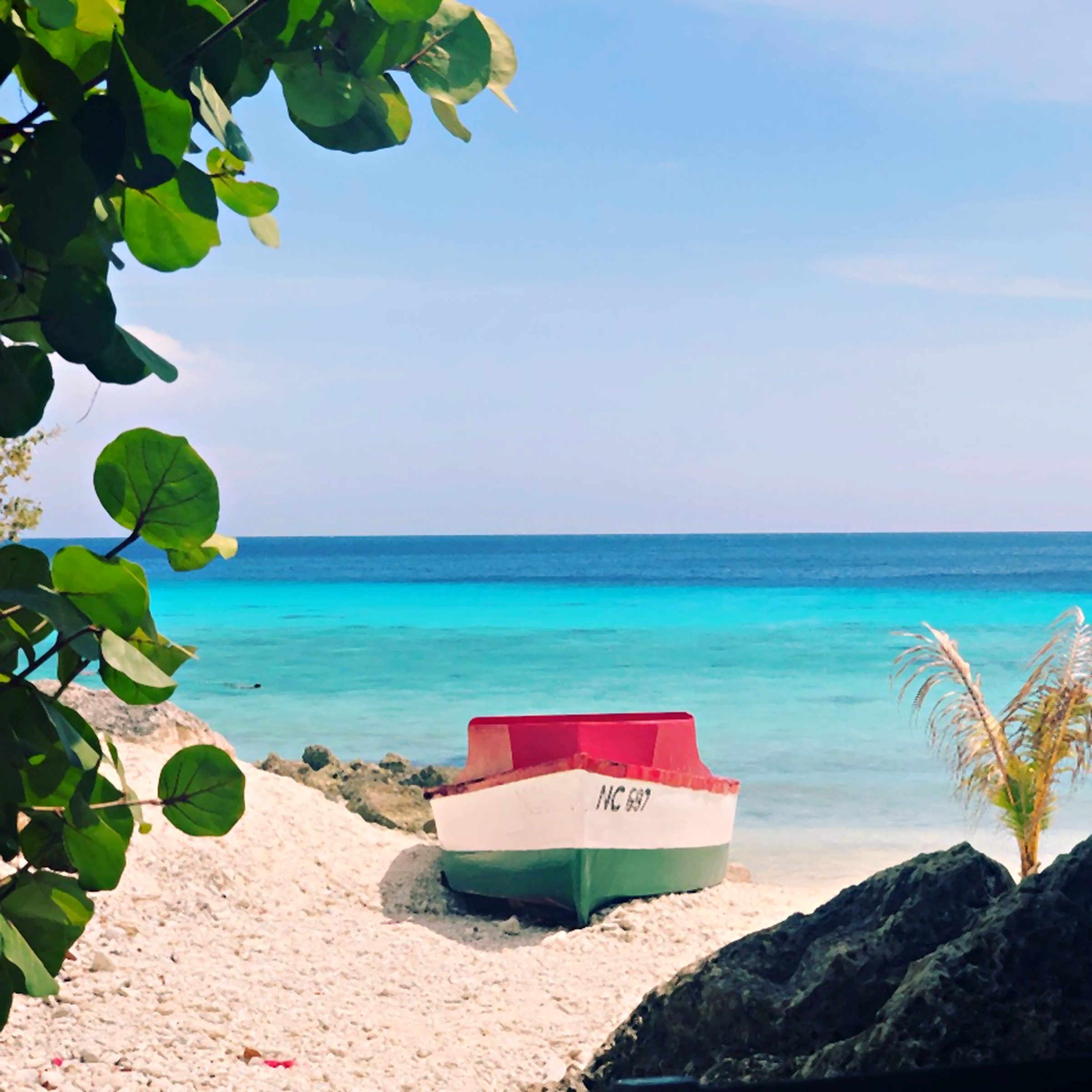 A small boat on white sand framed by green leaves, with turquoise water behind