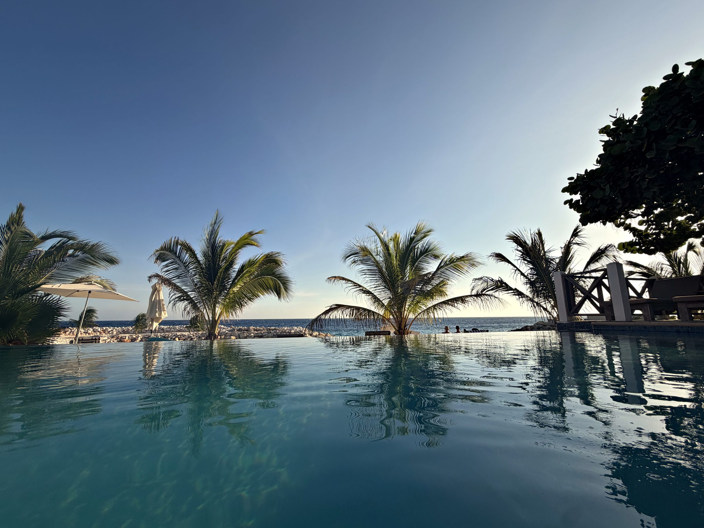 Infinity pool with palm trees overlooking the sea at Scuba Lodge