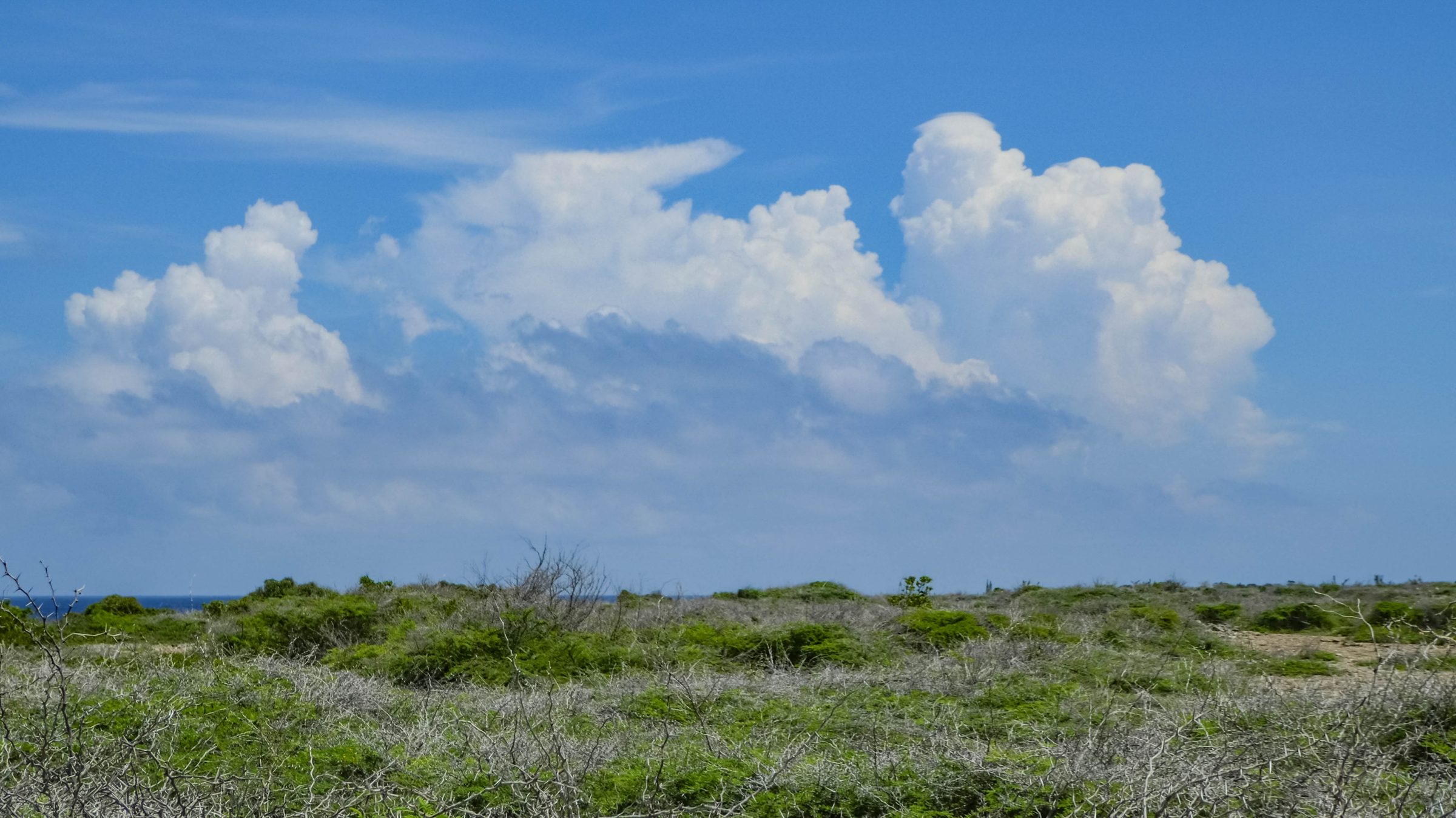Christoffel Park, Curaçao