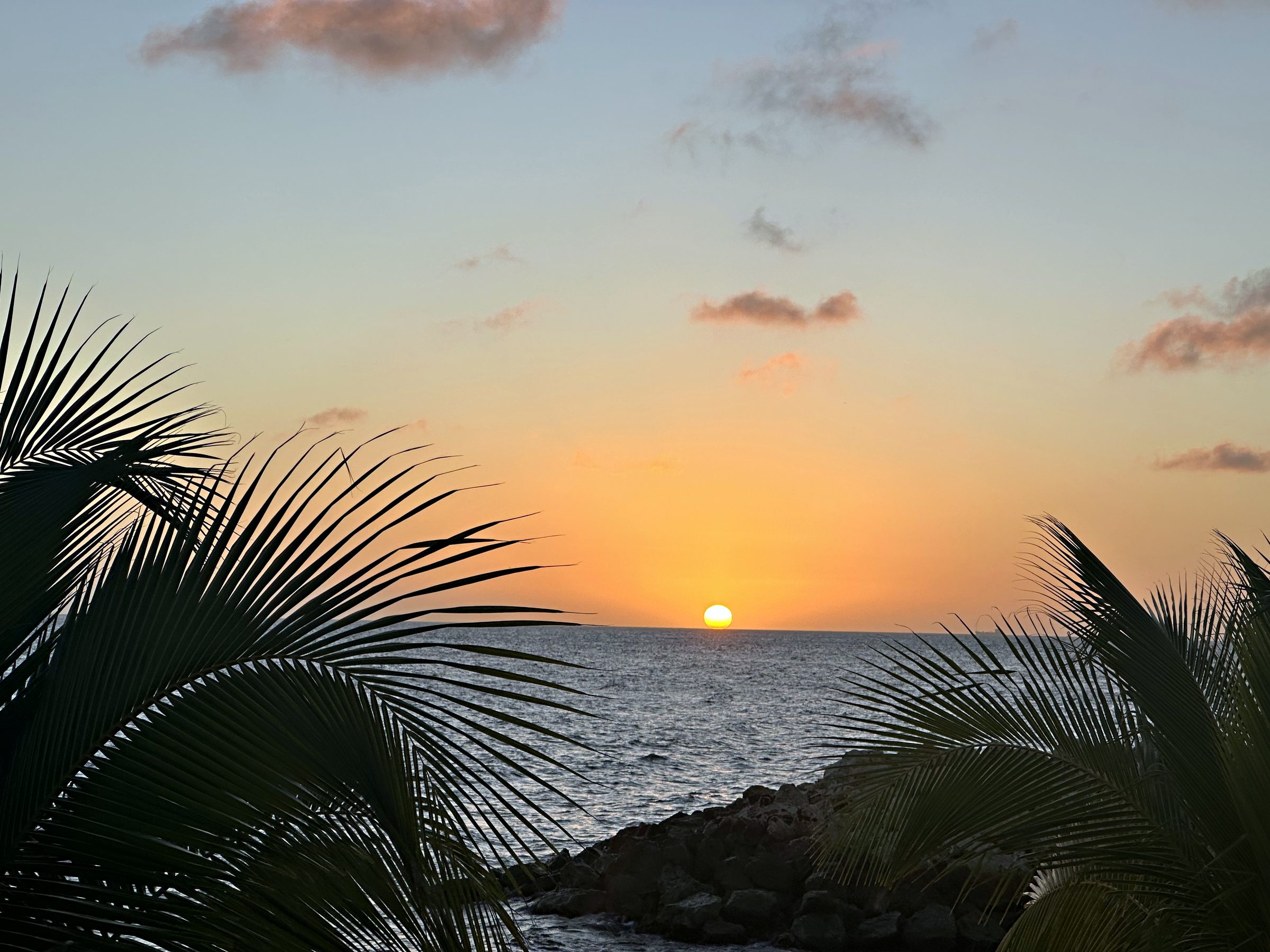 The sun setting over the sea framed by palm fronds