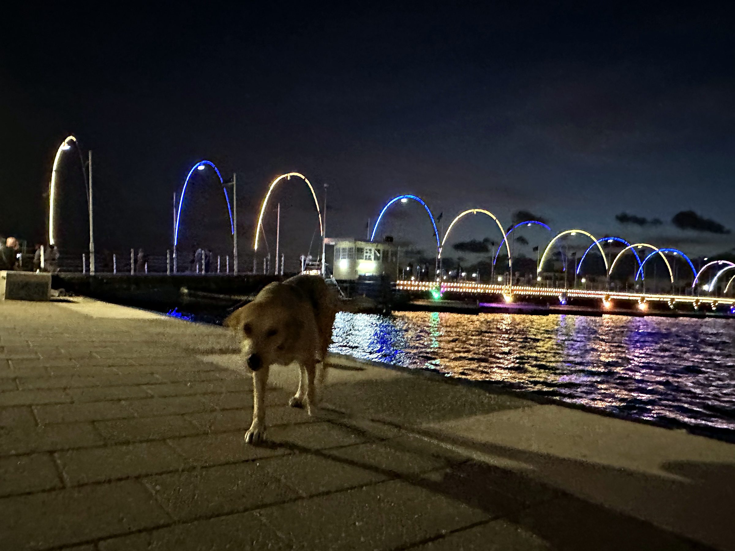 Queen Emma Bridge lit with colored arches across the water at night